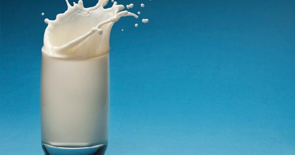 La Leche De Cucaracha ¿el Superalimento Del Futuro Revista Chacra