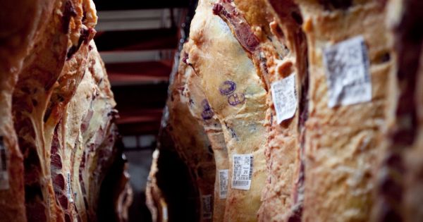 Carne La Situacin Del Mercado Interno Revista Chacra