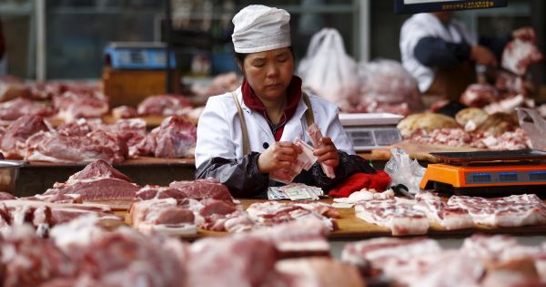 Argentina’s Dependence on China for Beef Exports: Saturation and Depressed Prices