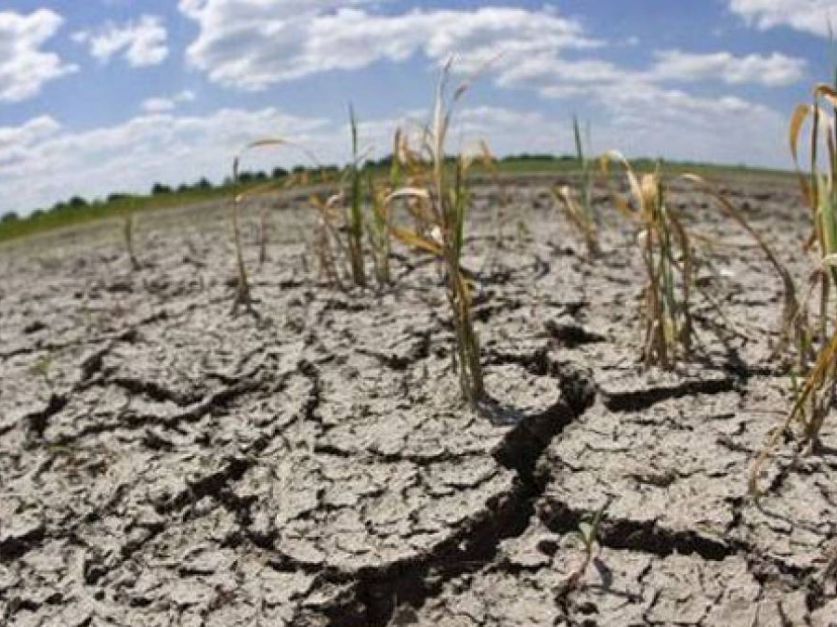 Prorrogan en Chaco y declaran en Catamarca la emergencia agropecuaria -  Revista Chacra