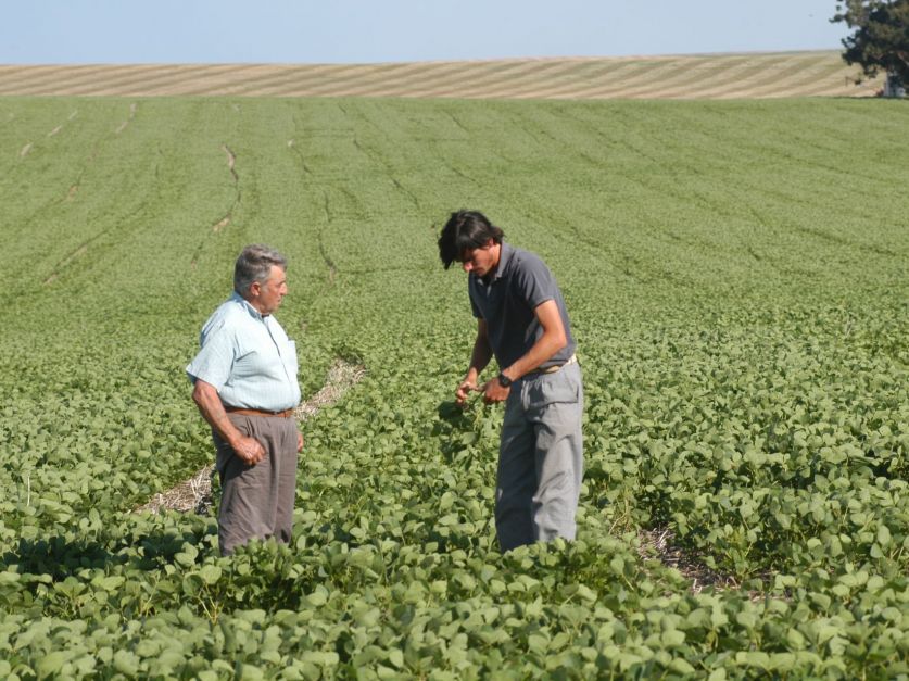 Por la sequía, ganan terreno los pooles de siembra - Revista Chacra